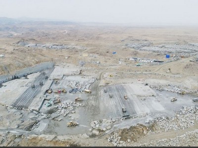 蒙古黑菠萝面图3