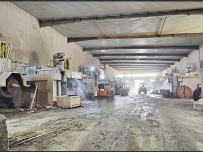 蒙古黑菠萝面图5