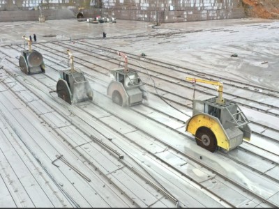 广西粉红麻/桂林红/海浪花/芭拉白图6