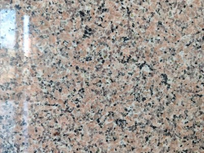 广西粉红麻/桂林红/海浪花/芭拉白图7