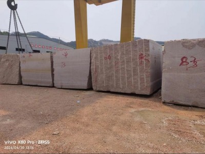 广西枫叶红（浅红）图4