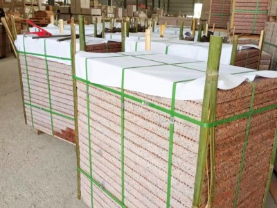 广西枫叶红/烧面图2