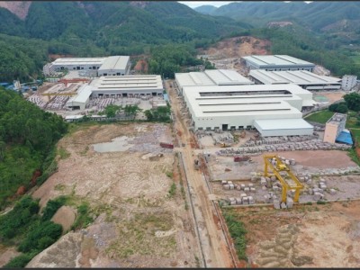 广西枫叶红/烧面图5