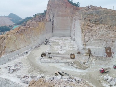 广西枫叶红/烧面图6