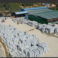 湖北罗田芝麻灰/芝麻白（大量现货）