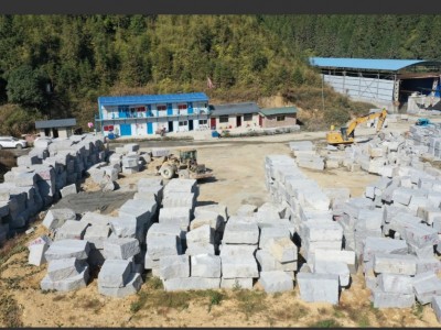 湖北罗田芝麻灰/芝麻白（大量现货）图2