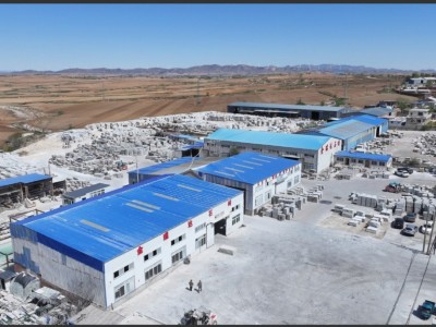 锦州白麻（美国白金）图3