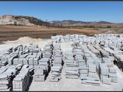 锦州白麻（美国白金）图5