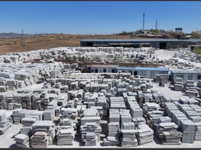 锦州白麻（美国白金）图4