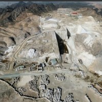 新疆乐泰出品/新疆红/石岛红/永定红