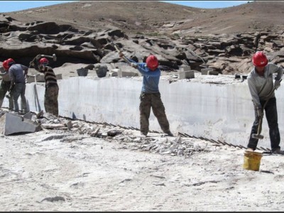 新疆乐泰出品/新疆红/石岛红/永定红图2