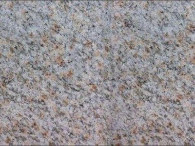 新疆天山白麻/金麻图4