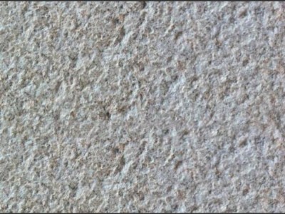 新疆天山白麻/金麻图2