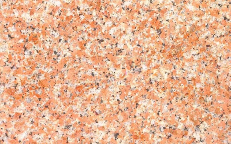 莎莉仕红/新疆红