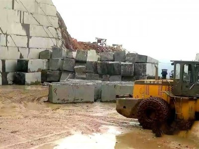 广西芝麻黑（工厂直销）图5