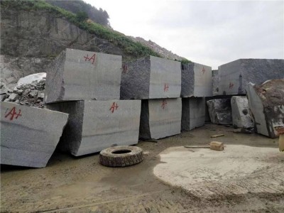 广西芝麻黑（工厂直销）图3